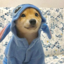 avatar 𝖋𝖚𝖊𝖗𝖟𝖆𝖆𝖘