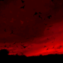 zen_6766#6521's avatar