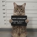 Avatar de Jack_Whyers