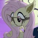 xflutterdashx