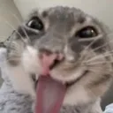 thatguywhosleepsalot