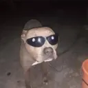 ayeeitsfiru