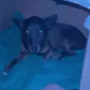 levantamentoterradasilva2
