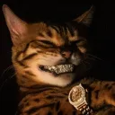tautizz