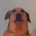 tubakkkkkkkkkk