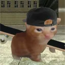 wexbest31