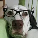 toniino