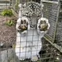 masterchief345_85534 avatar