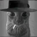 gusmvp_ avatar
