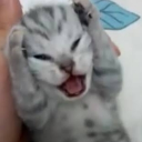 avatar ไบร์ท