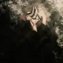 not_ravager17
