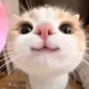 pokpong178_98750 avatar