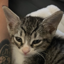 avatar smellimeli123