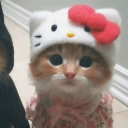 avatar bloom 🪄🌸