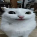 carogaph_