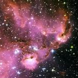 darealstars's Avatar