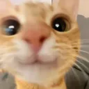 k34l4n_