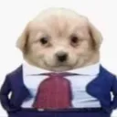 alexis.me__58038 avatar