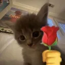 iambestlove