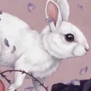 mooshek