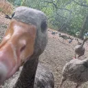 .pcapng
