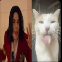 haniadd