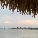 _xfaix_