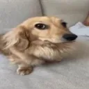 Аватар blugem_o