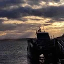 crisku12_65417 avatar