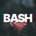 bashplayscomp