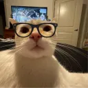 dignitasredeye