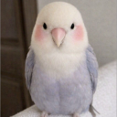 avatar 맘마미아