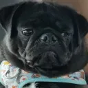 bubz8590