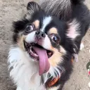 iosha_0