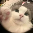nnnisfun