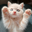 wujo_oowwee