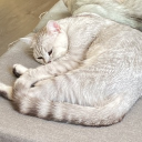 asdayusfoasyfuin#8686's avatar