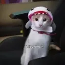 martimotis_03792 avatar