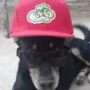 cristian097769 avatar