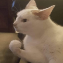 nobody_actually#2250's avatar