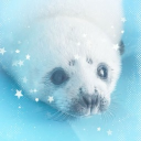 avatar ⁺༚sumidayo~˚₊