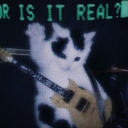 avatar ⁺༚sumidayo~˚₊