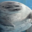 avatar ⁺༚sumidayo~˚₊