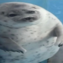 avatar ⁺༚sumidayo~˚₊