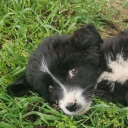 avatar 🌺Derya🌺