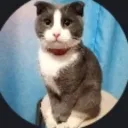 aleksandr_prohorov avatar