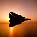 tomcat_f14_