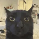 skippymcdippy3200