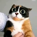 robloksroblox_45366 avatar