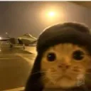 sovietcat1. avatar